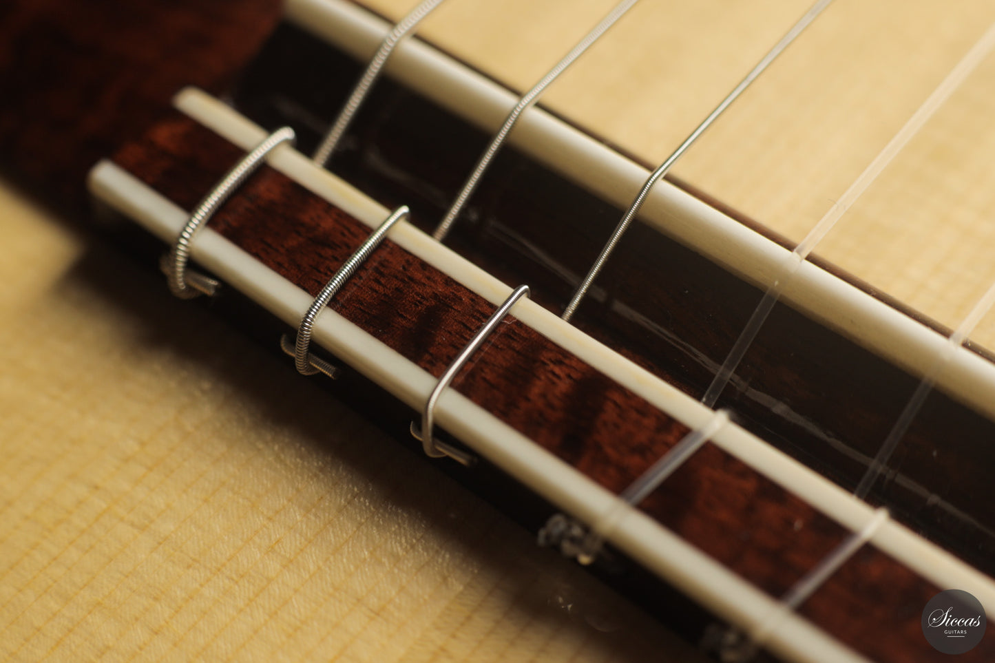 Siccas Luthiers - Continuum Lattice Spruce 64 cm