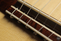 Siccas Luthiers - Continuum Lattice Spruce 64 cm