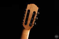Siccas Luthiers - Continuum Lattice Spruce