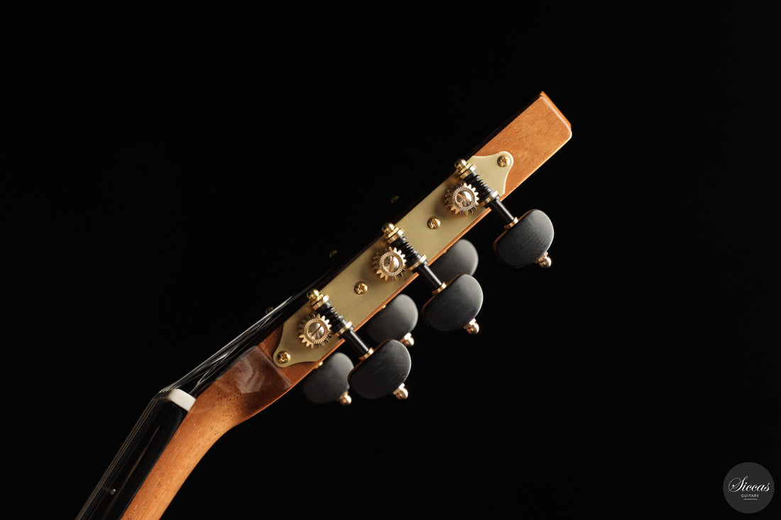 Siccas Luthiers - Continuum Lattice Spruce 64 cm
