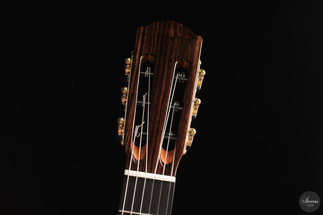 Siccas Luthiers - Continuum Lattice Spruce 64 cm