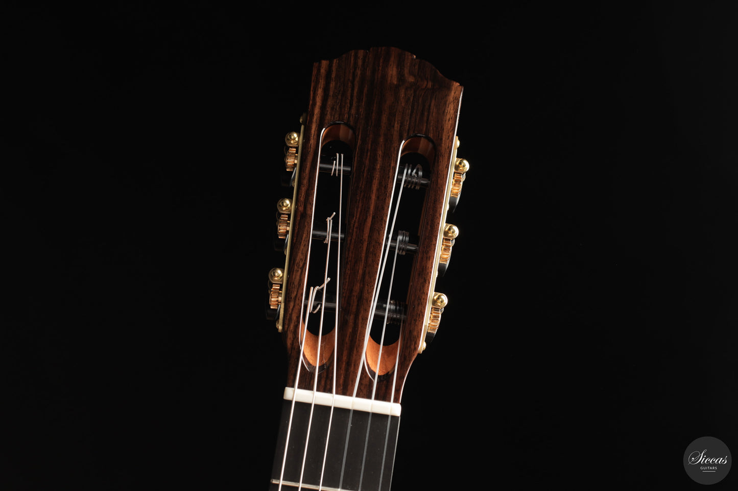 Siccas Luthiers - Continuum Lattice Spruce 64 cm