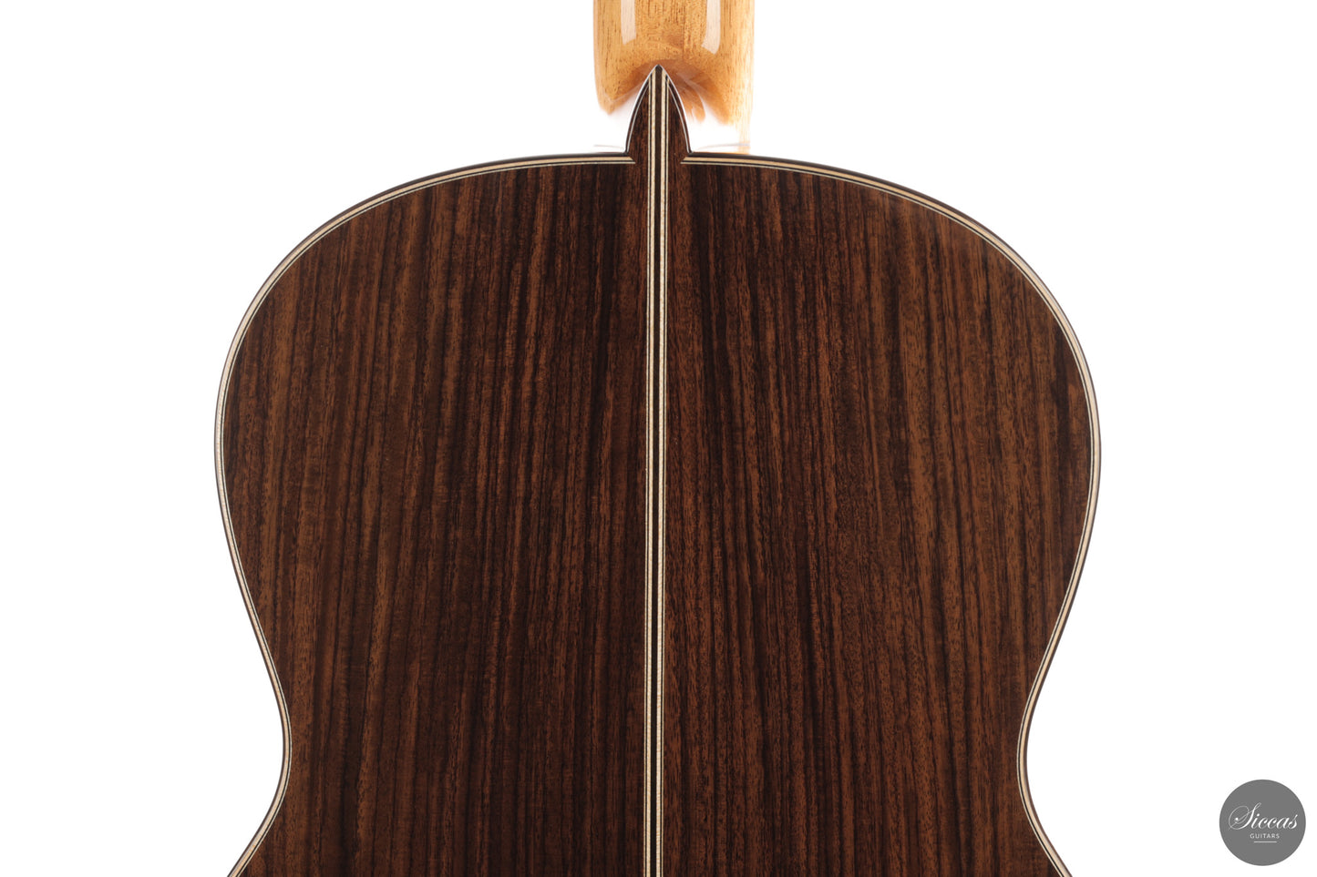 Siccas Luthiers - Continuum Lattice Spruce 64 cm