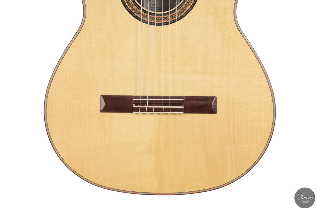 Siccas Luthiers - Continuum Lattice Spruce 64 cm