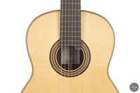 Siccas Luthiers - Continuum Lattice Spruce