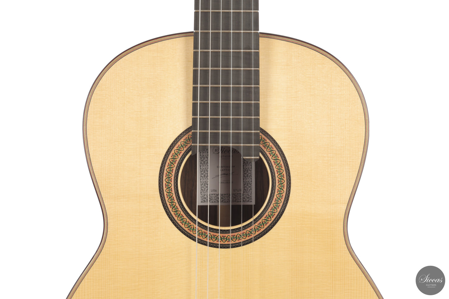 Siccas Luthiers - Continuum Lattice Spruce 64 cm