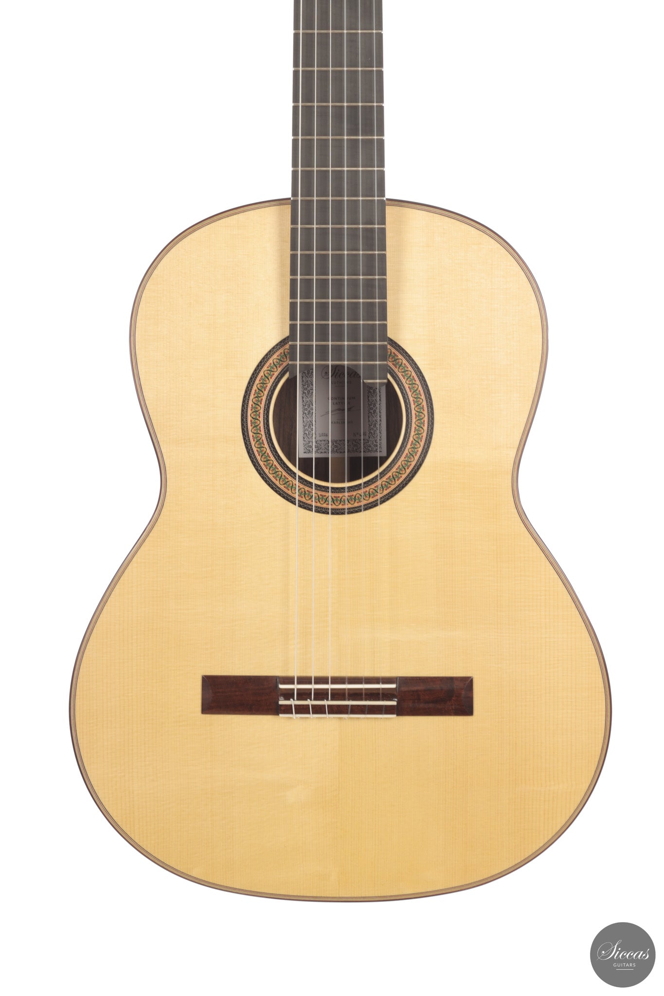 Siccas Luthiers - Continuum Lattice Spruce 64 cm