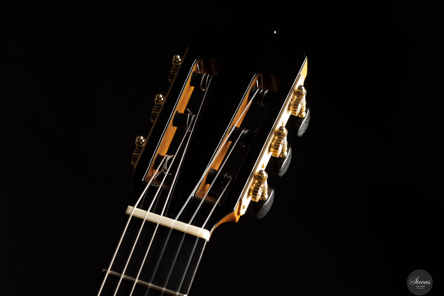 Siccas Luthiers - Creation Doubletop Triptych