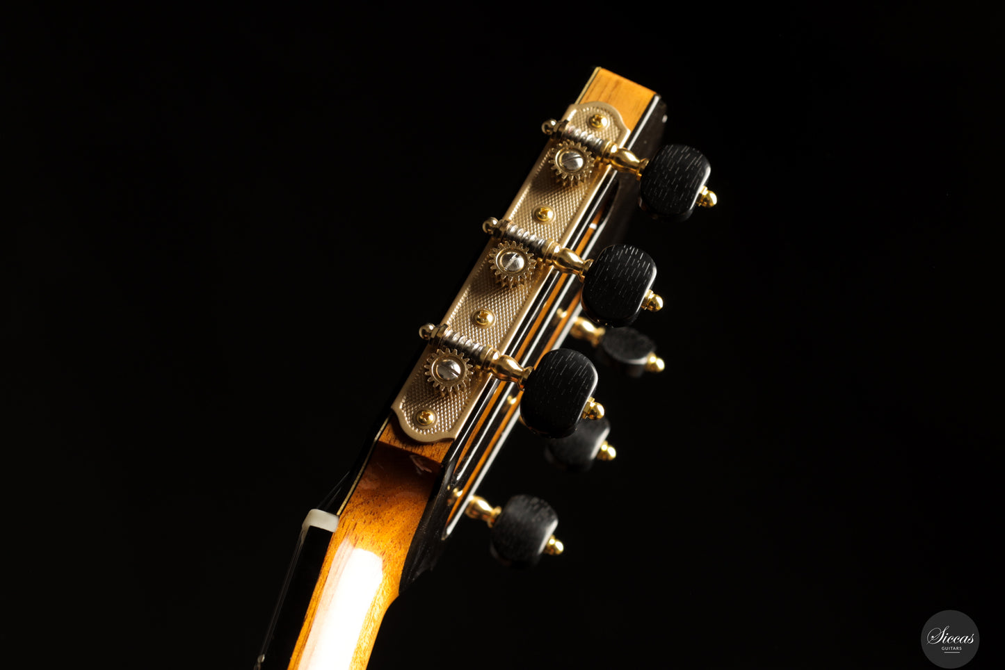 Siccas Luthiers - Creation Doubletop Triptych