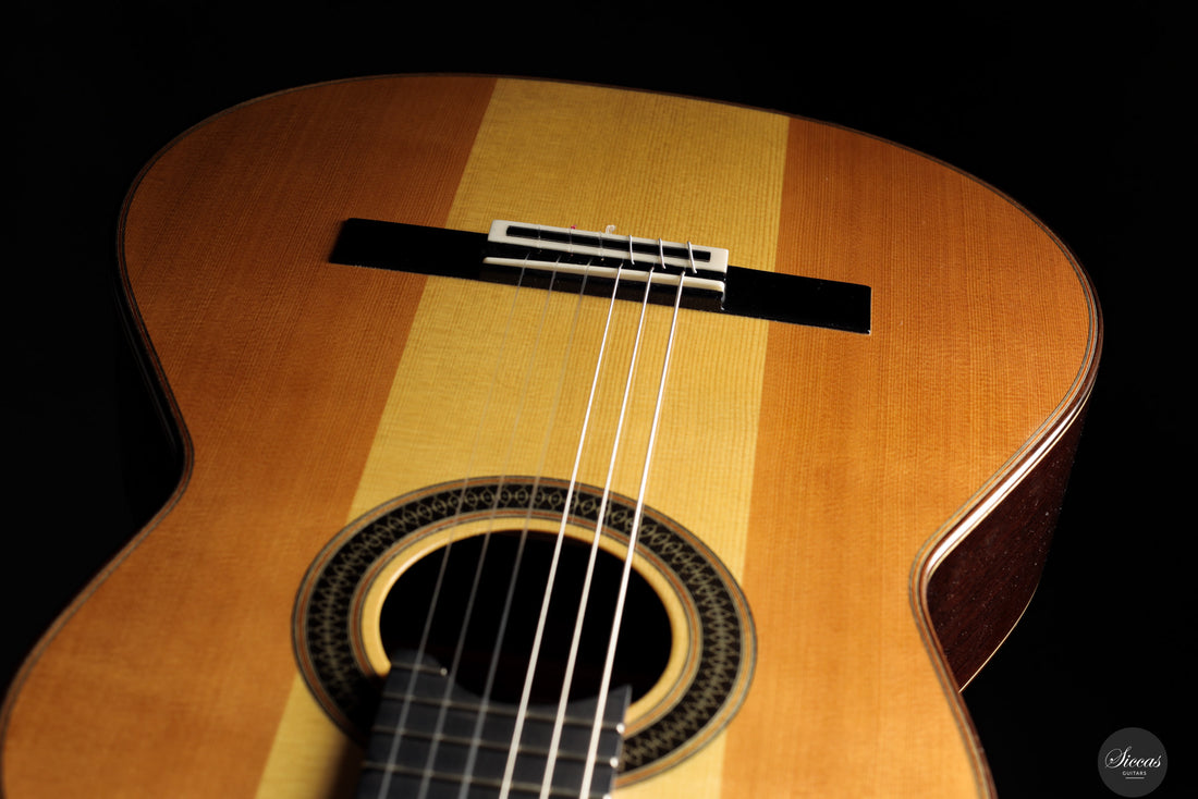 Siccas Luthiers - Creation Doubletop Triptych 64 cm - Front view