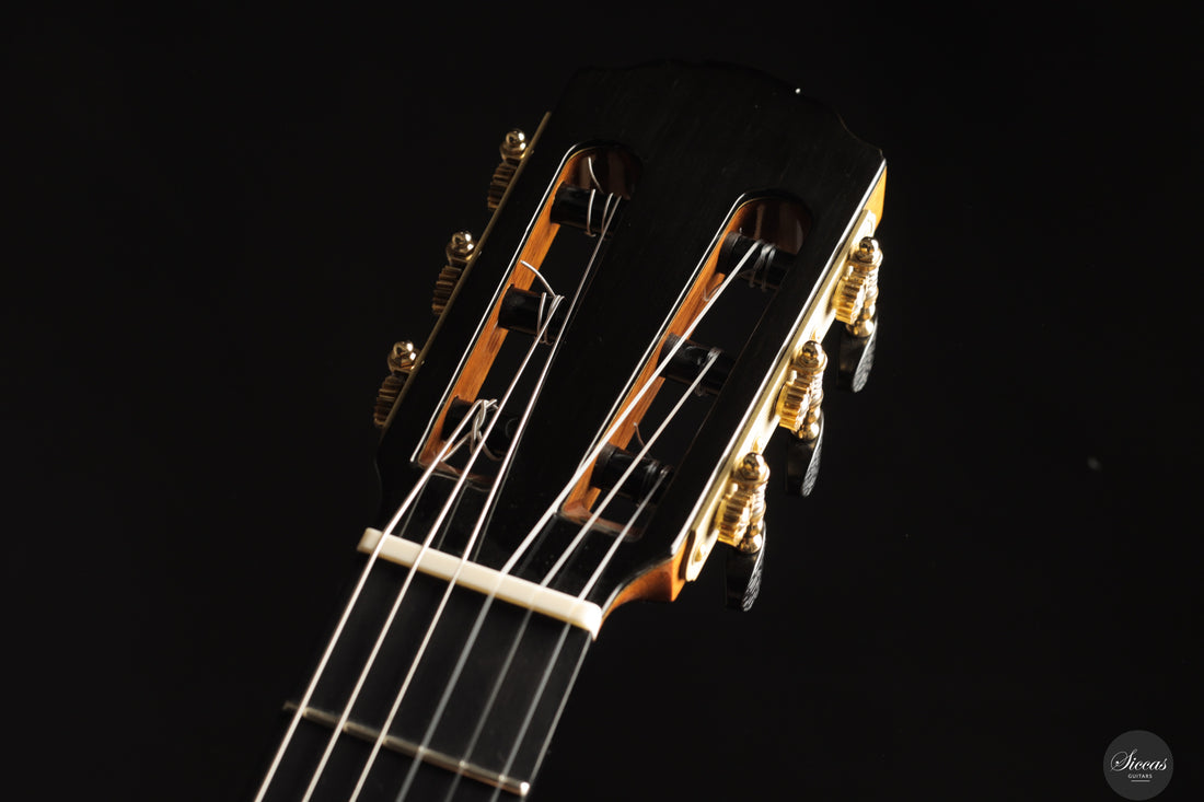 Siccas Luthiers - Creation Doubletop Spruce 63 cm