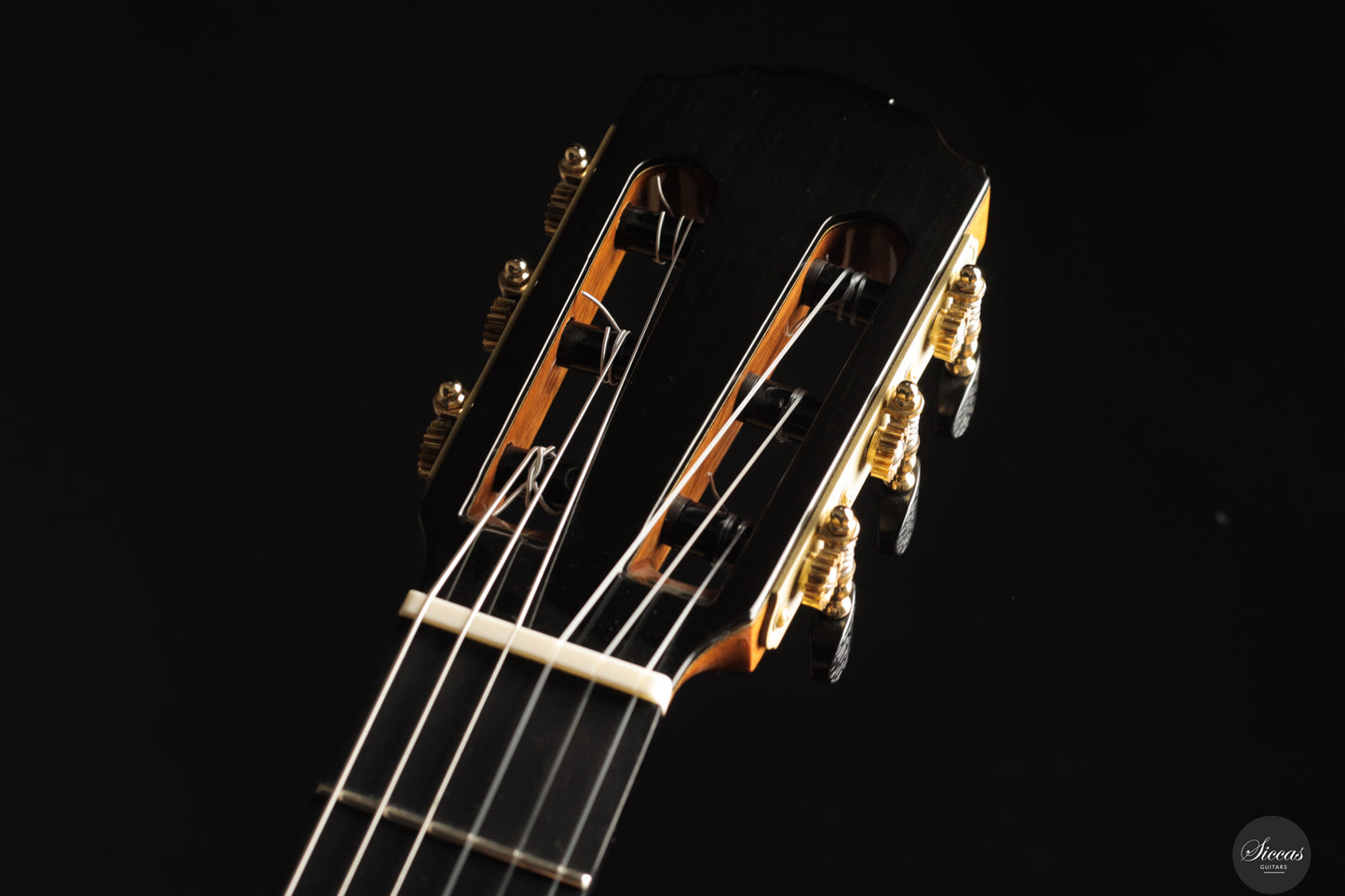 Siccas Luthiers - Creation Doubletop Spruce 63 cm