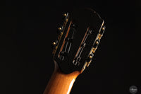 Siccas Luthiers - Creation Doubletop Spruce 63 cm
