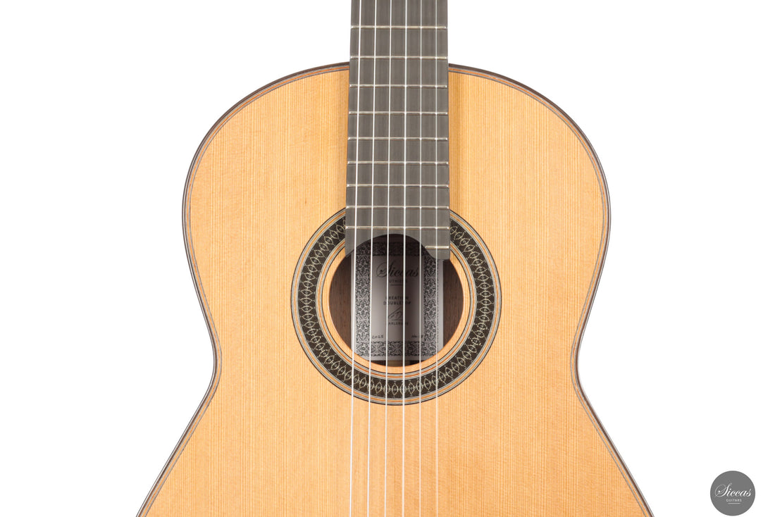 Siccas Luthiers - Creation Doubletop Cedar 63 cm - Front view