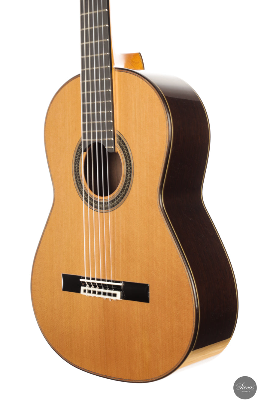 Siccas Luthiers - Creation Doubletop Cedar - Front view