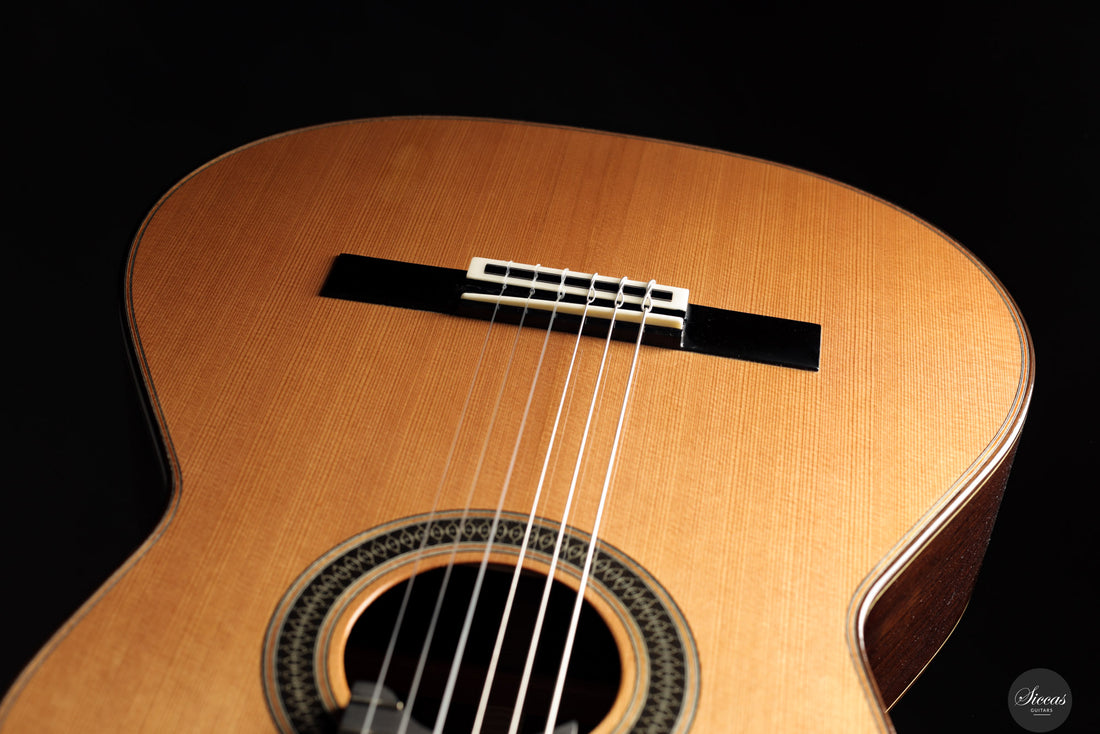 Siccas Luthiers - Creation Doubletop Cedar 63 cm - Front view