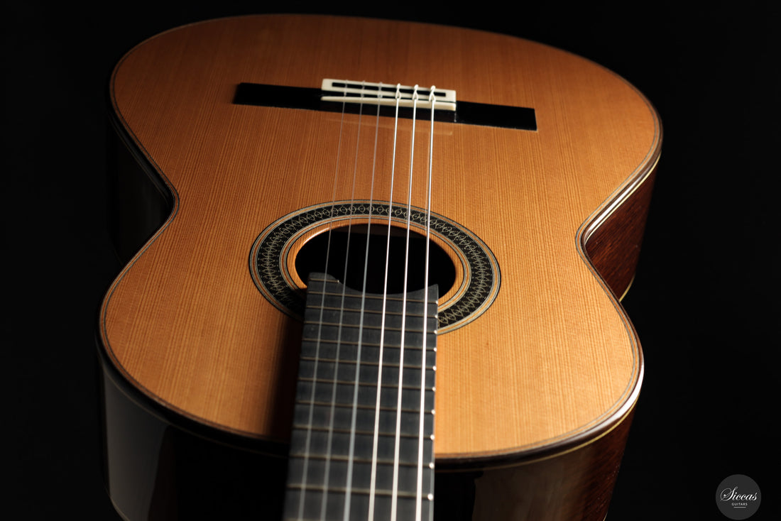 Siccas Luthiers - Creation Doubletop Cedar 63 cm - Front view
