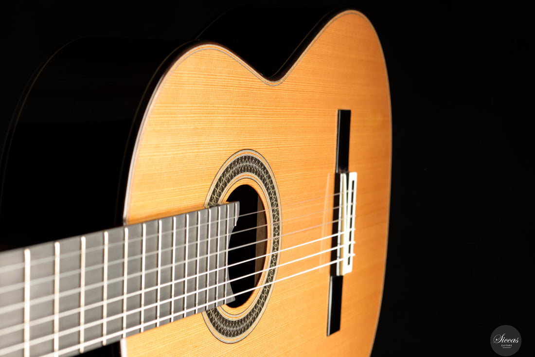 Siccas Luthiers - Creation Doubletop Cedar - Front view