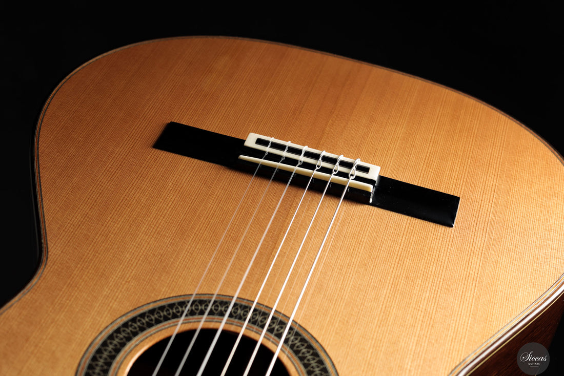 Siccas Luthiers - Creation Doubletop Cedar 63 cm - Front view
