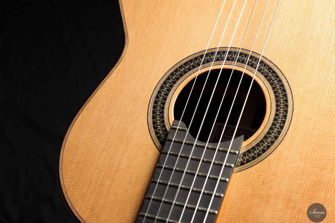 Siccas Luthiers - Creation Doubletop Cedar 63 cm - Front view