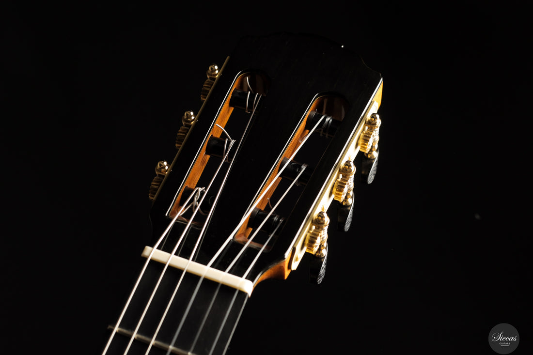 Siccas Luthiers - Creation Doubletop Spruce