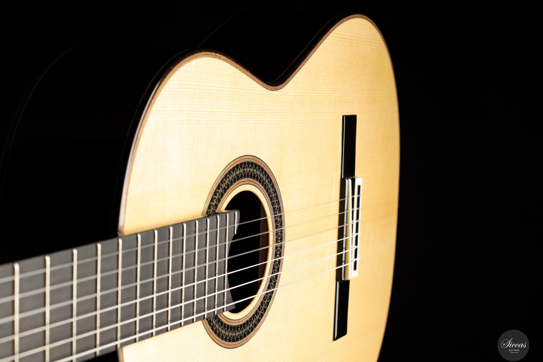 Siccas Luthiers - Creation Doubletop Spruce 63 cm - Front view