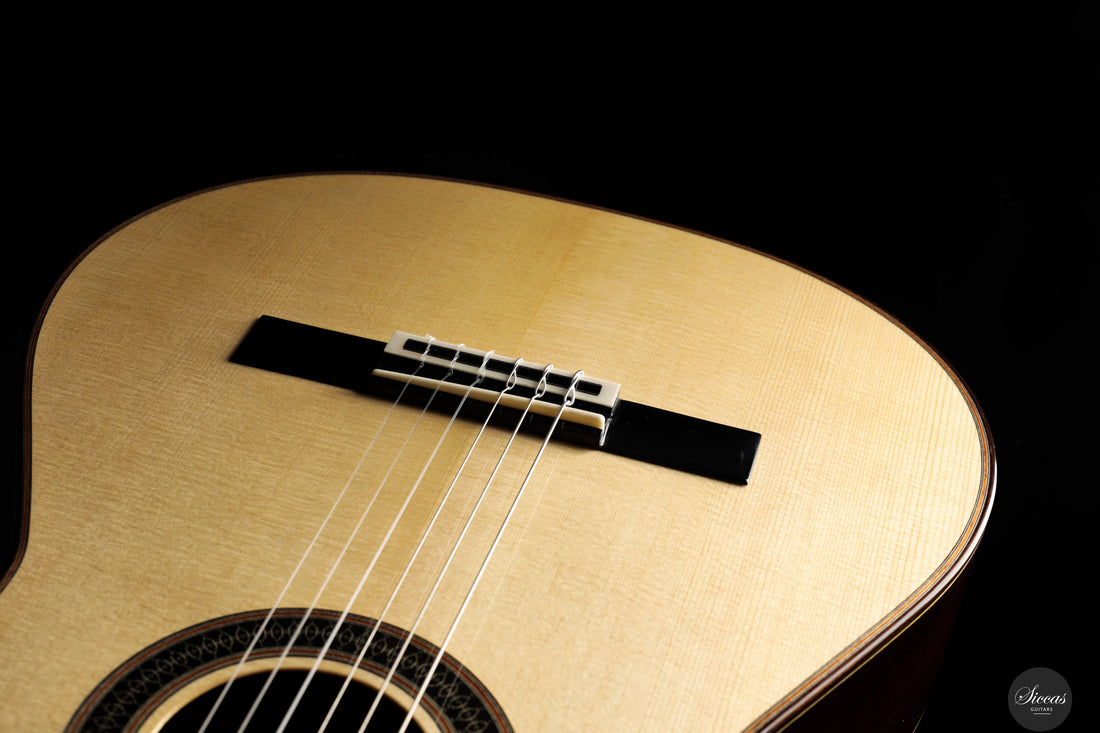 Siccas Luthiers - Creation Doubletop Spruce 63 cm - Front view