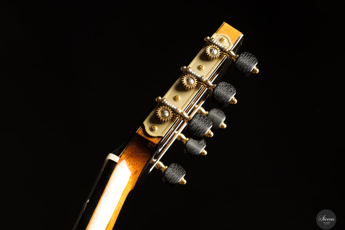 Siccas Luthiers - Creation Doubletop Spruce