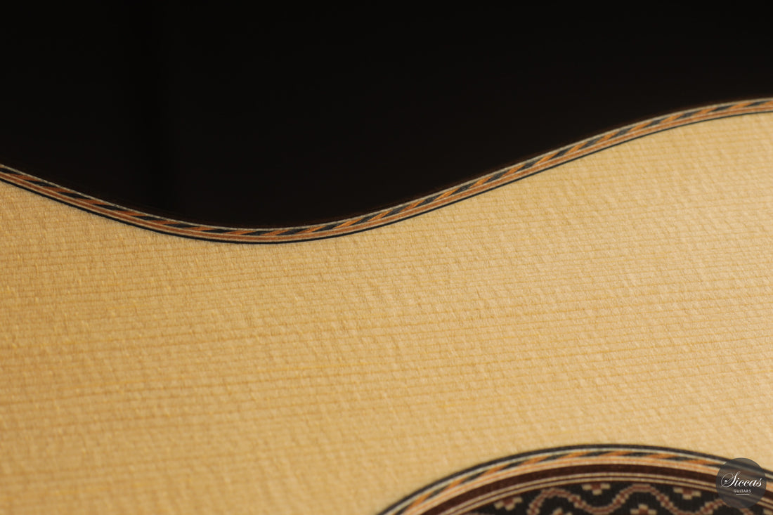 Siccas Luthiers - Halo Traditional Spruce