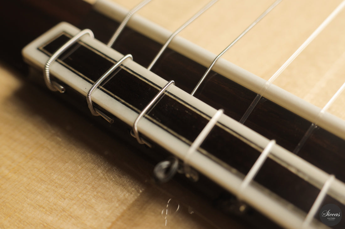 Siccas Luthiers - Halo Traditional Spruce