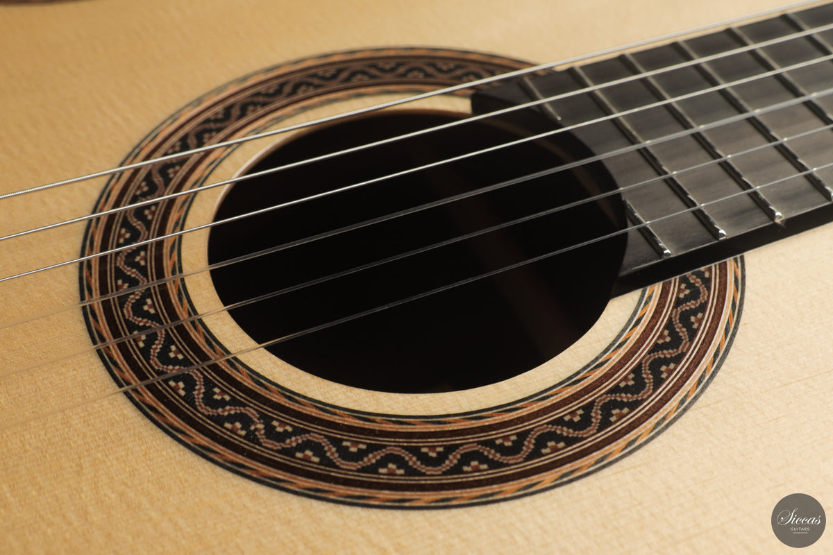 Siccas Luthiers - Halo Traditional Spruce