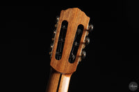 Siccas Luthiers - Halo Traditional Spruce 63 cm