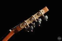 Siccas Luthiers - Halo Traditional Spruce