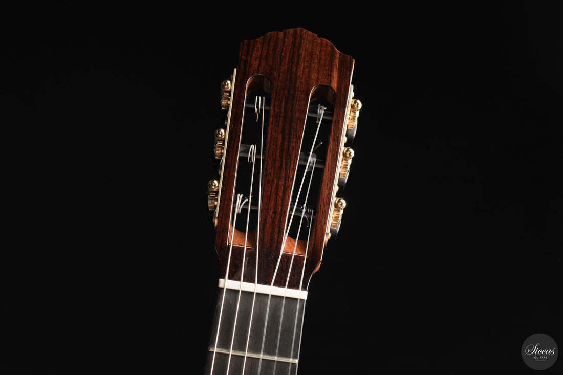 Siccas Luthiers - Halo Traditional Cedar - Neck and tuner