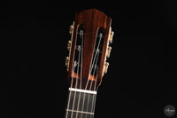 Siccas Luthiers - Halo Traditional Spruce 63 cm