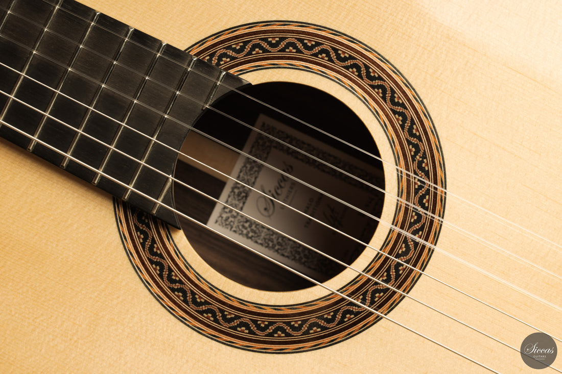 Siccas Luthiers - Halo Traditional Spruce 63 cm