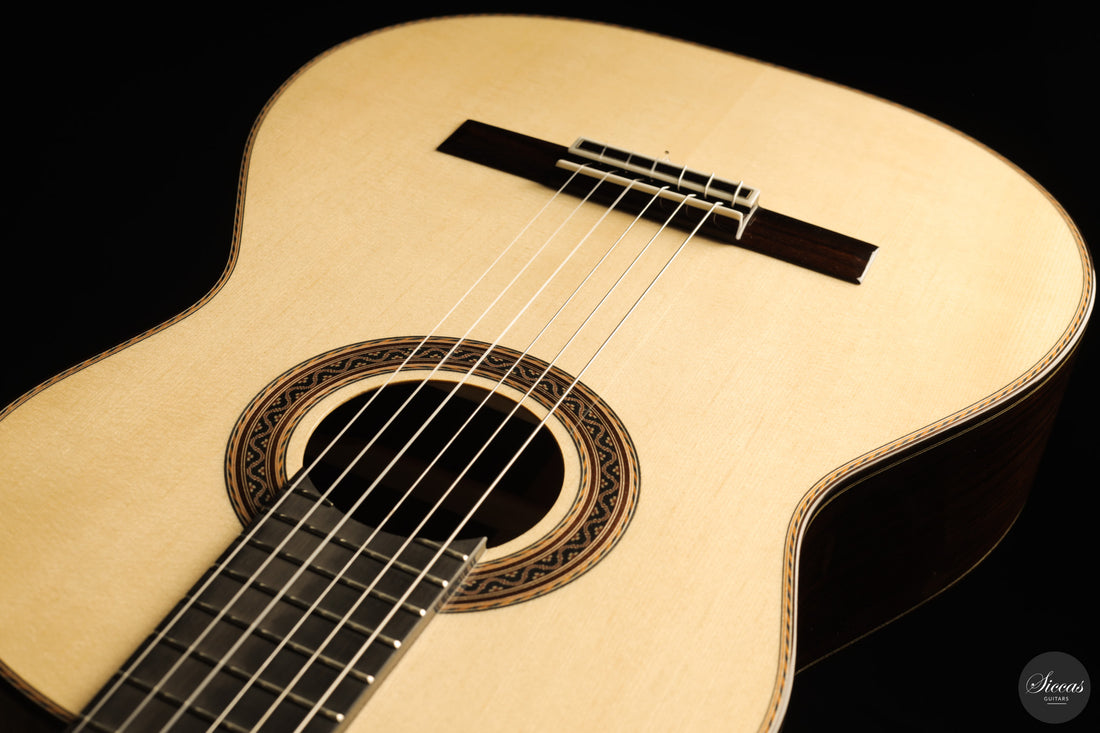 Siccas Luthiers - Halo Traditional Spruce