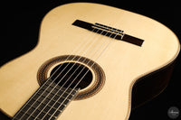 Siccas Luthiers - Halo Traditional Spruce