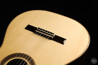 Siccas Luthiers - Halo Traditional Spruce