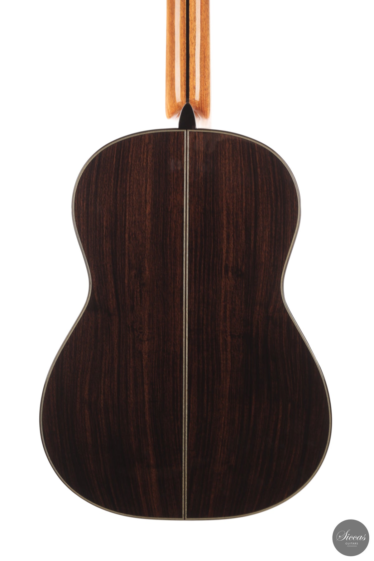 Siccas Luthiers - Halo Traditional Spruce