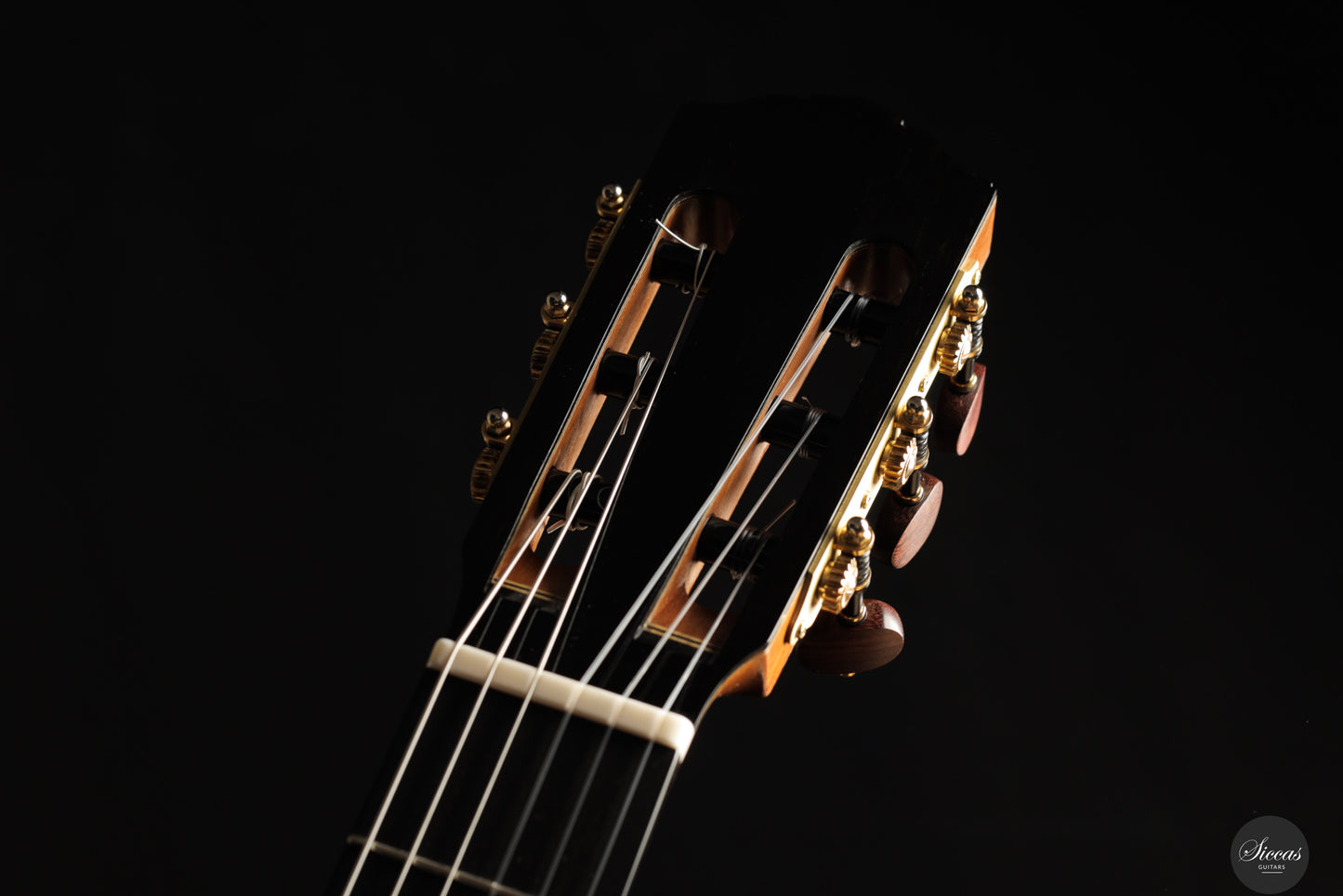 Siccas Luthiers - Legacy Doubletop Cedar 64 cm