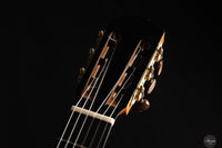Siccas Luthiers - Legacy Doubletop Cedar 64 cm