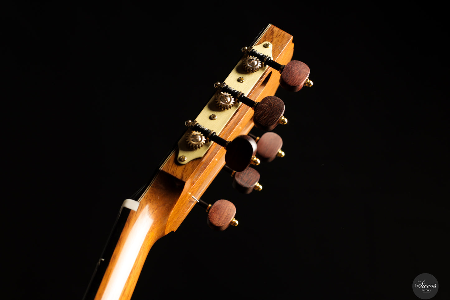 Siccas Luthiers - Legacy Doubletop Cedar 64 cm