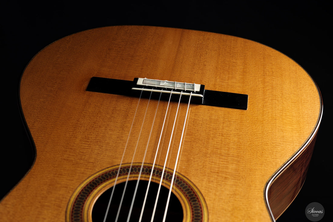 Siccas Luthiers - Legacy Doubletop Cedar