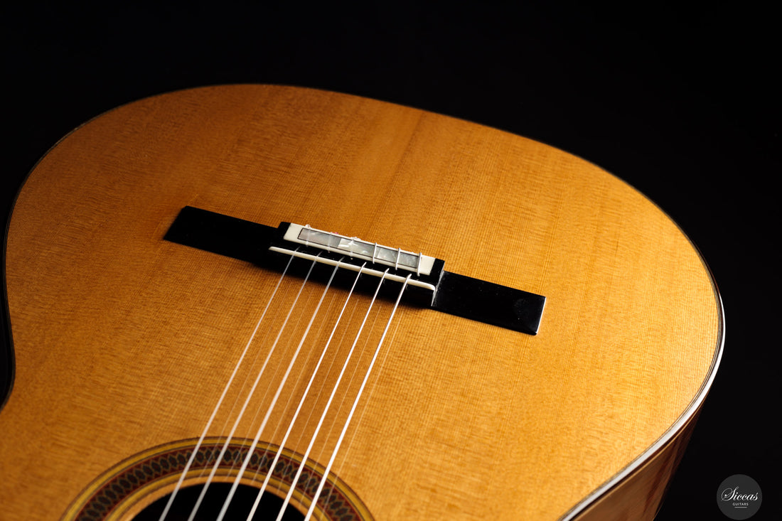 Siccas Luthiers - Legacy Doubletop Cedar 64 cm - Front view