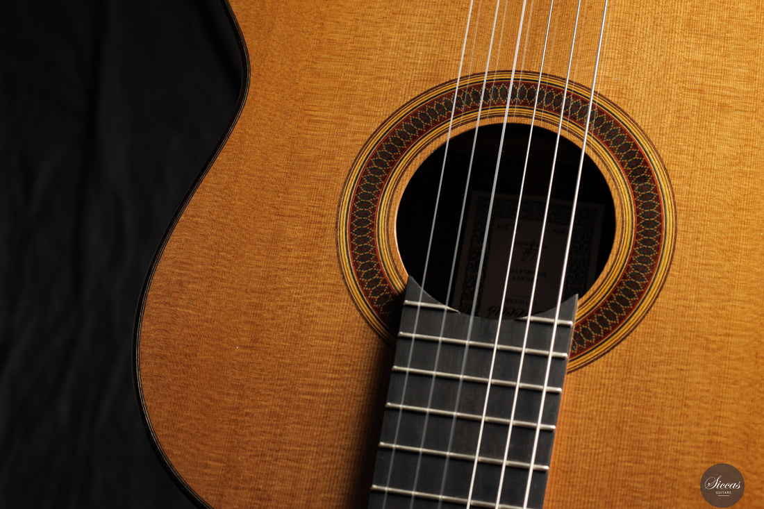 Siccas Luthiers - Legacy Doubletop Cedar 64 cm