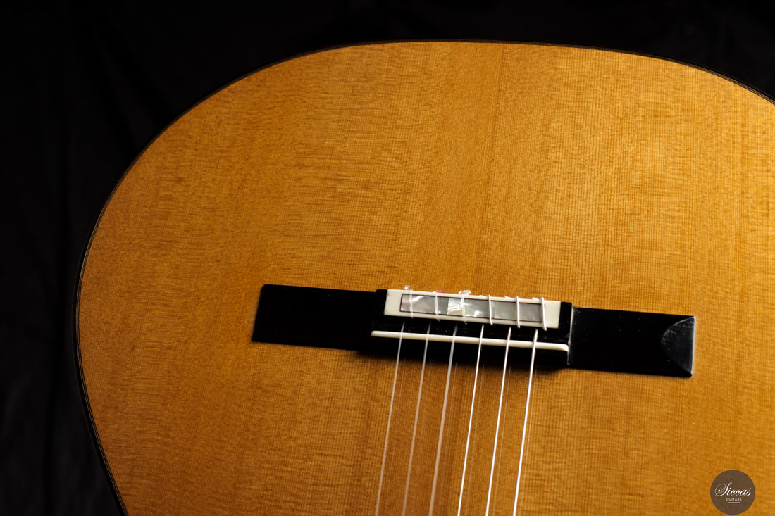 Siccas Luthiers - Legacy Doubletop Cedar 64 cm