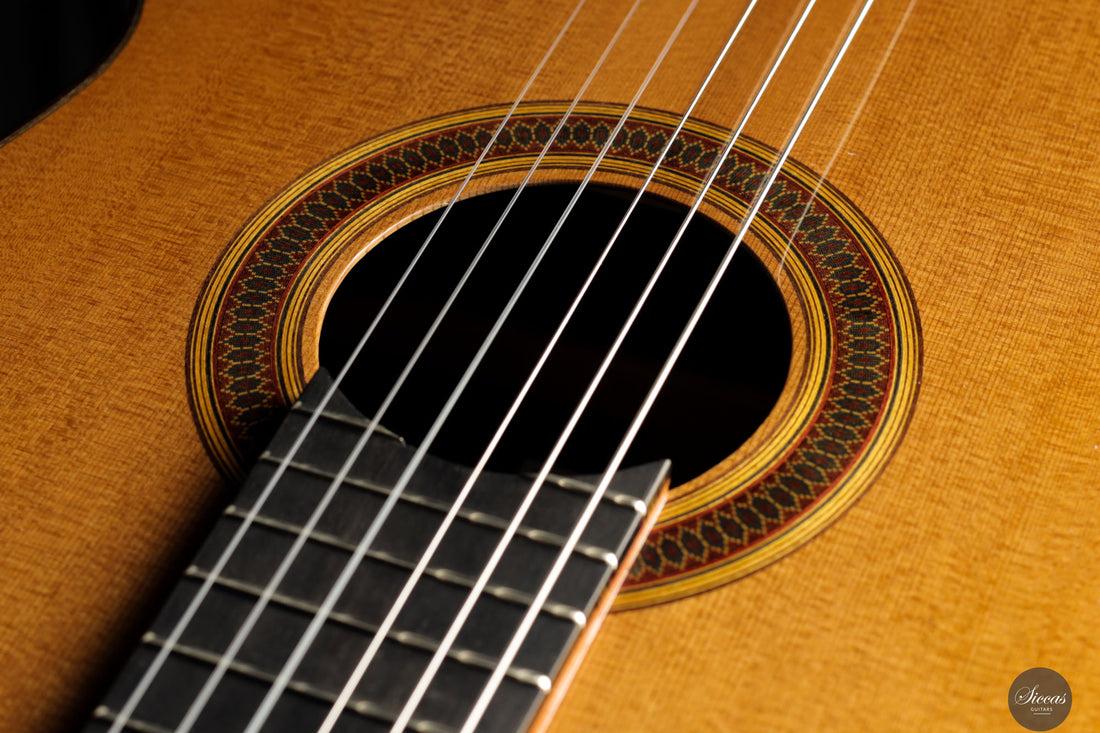 Siccas Luthiers - Legacy Doubletop Cedar