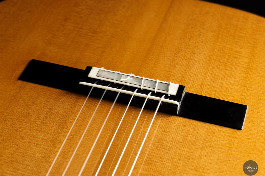 Siccas Luthiers - Legacy Doubletop Cedar 64 cm