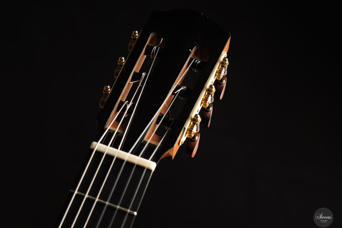 Siccas Luthiers - Legacy Doubletop Spruce